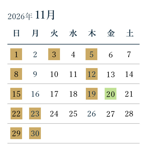 11月診療日